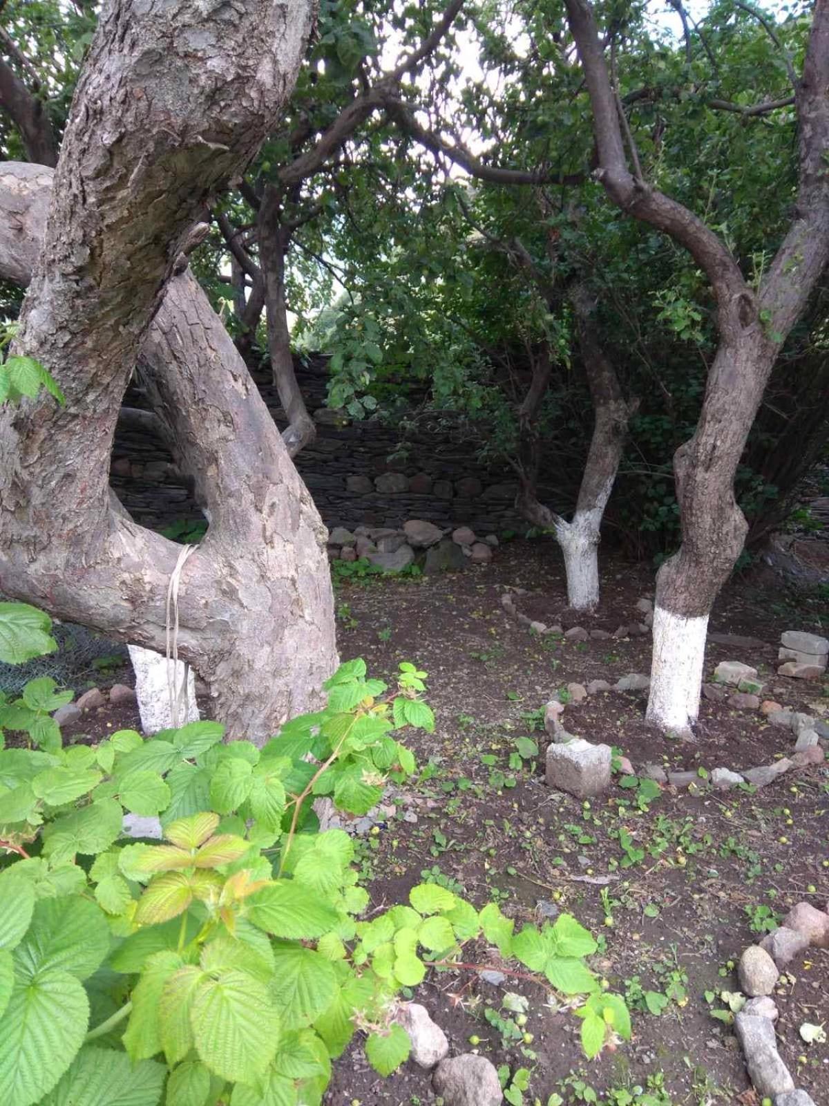 House In Gergeti Ξενοδοχείο Kazbegi Εξωτερικό φωτογραφία